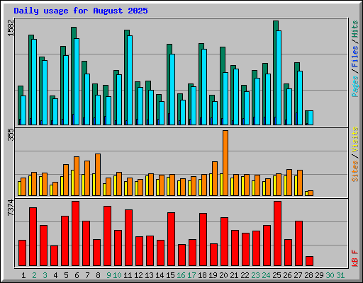 Daily usage for August 2025