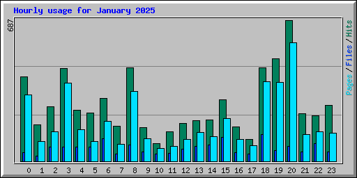 Hourly usage for January 2025