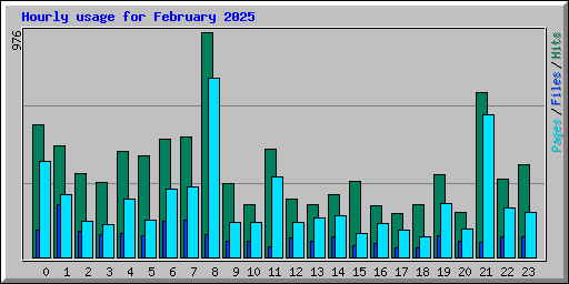 Hourly usage for February 2025