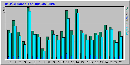 Hourly usage for August 2025