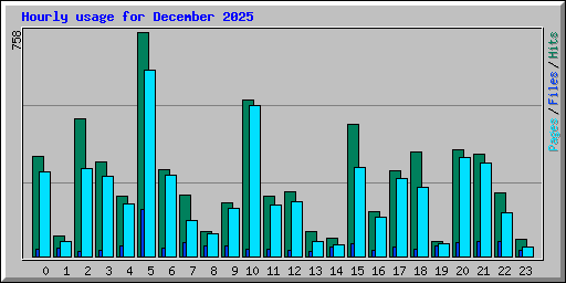Hourly usage for December 2025