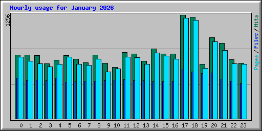 Hourly usage for January 2026