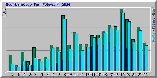Hourly usage for February 2026