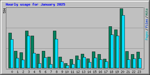 Hourly usage for January 2025