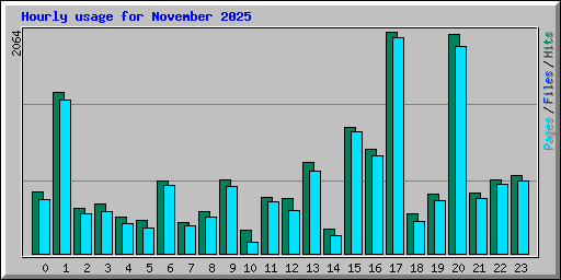 Hourly usage for November 2025