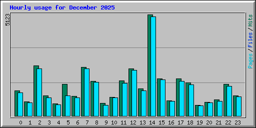 Hourly usage for December 2025