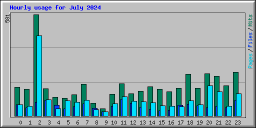 Hourly usage for July 2024