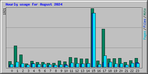 Hourly usage for August 2024