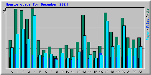 Hourly usage for December 2024