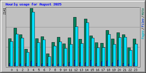 Hourly usage for August 2025