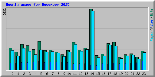 Hourly usage for December 2025