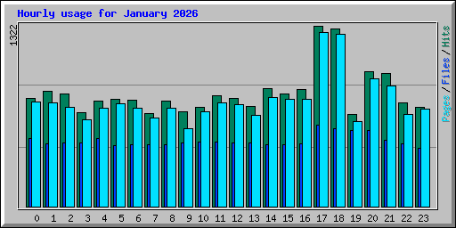Hourly usage for January 2026