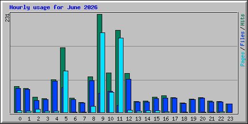 Hourly usage for June 2026