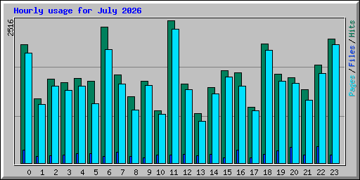 Hourly usage for July 2026