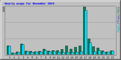 Hourly usage for November 2024