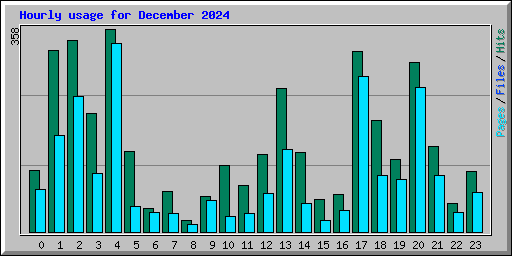 Hourly usage for December 2024