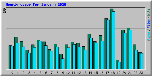 Hourly usage for January 2026