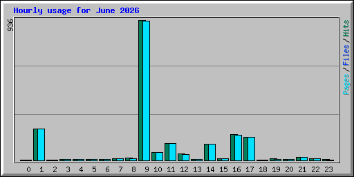 Hourly usage for June 2026